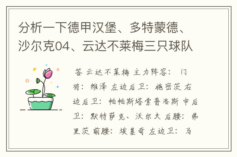 分析一下德甲汉堡、多特蒙德、沙尔克04、云达不莱梅三只球队的人员打法和阵型