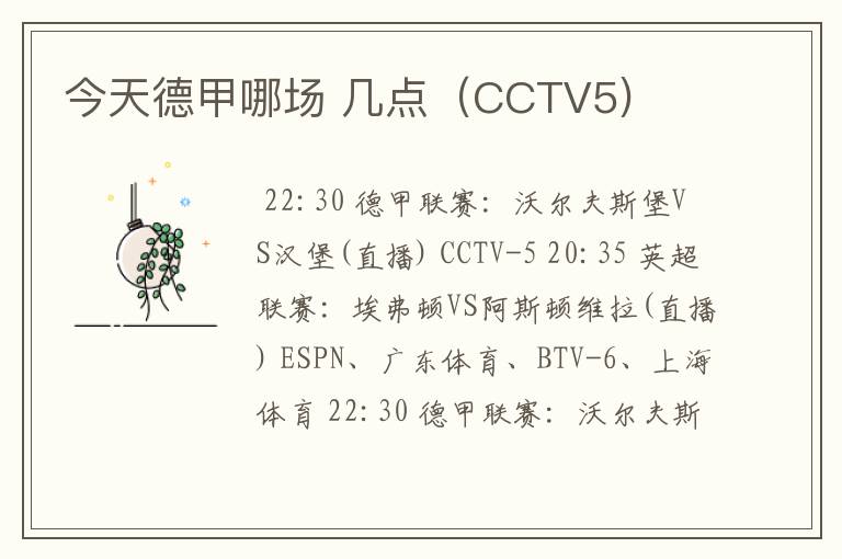 今天德甲哪场 几点(CCTV5)