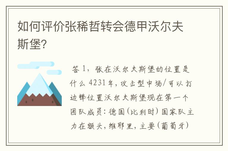 如何评价张稀哲转会德甲沃尔夫斯堡?