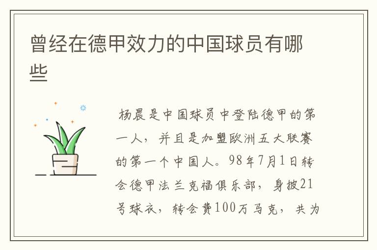 曾经在德甲效力的中国球员有哪些
