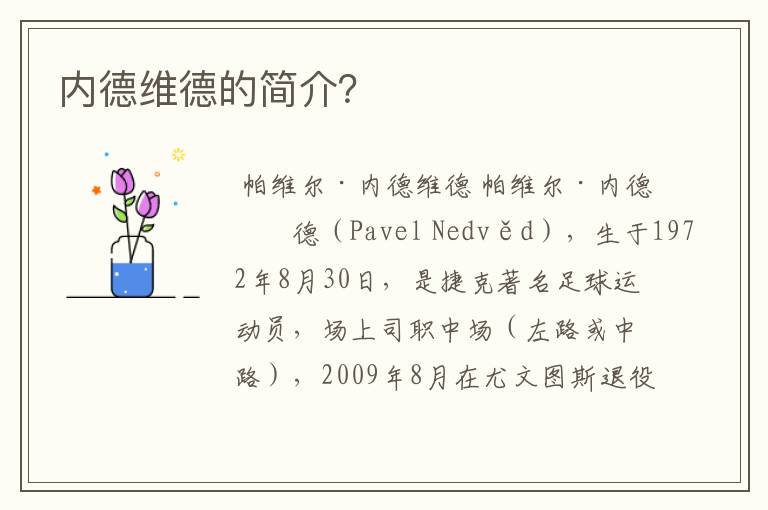 内德维德的简介?