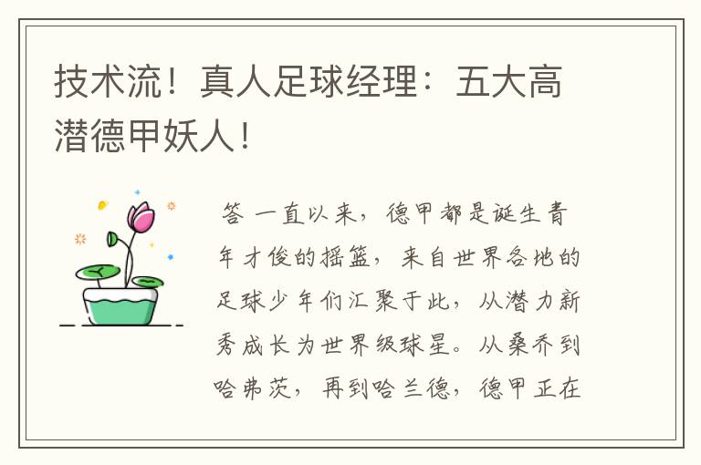 技术流!真人足球经理:五大高潜德甲妖人!