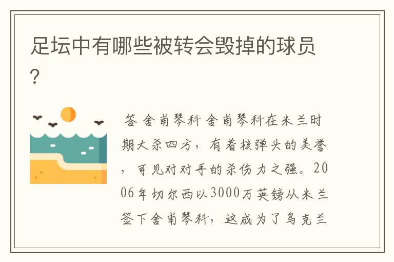足坛中有哪些被转会毁掉的球员?