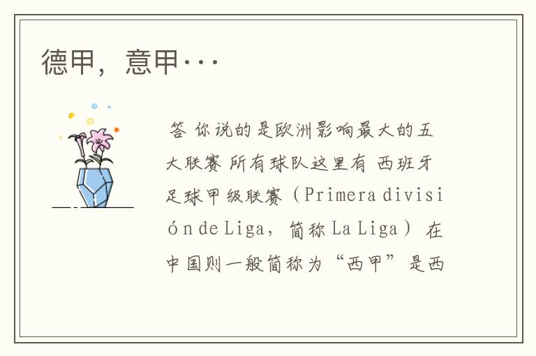 德甲,意甲···