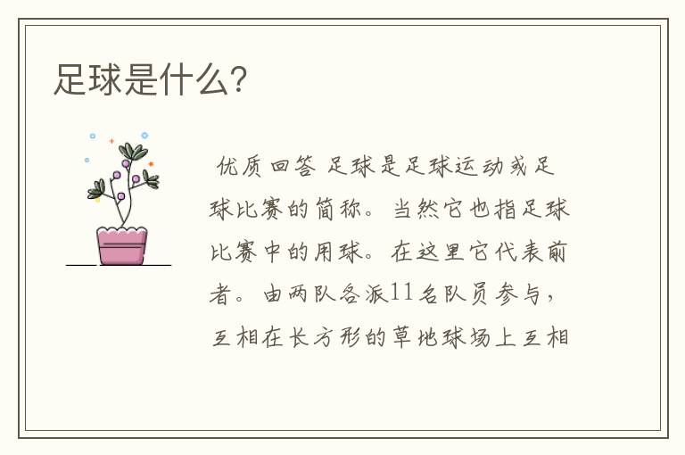 足球是什么?