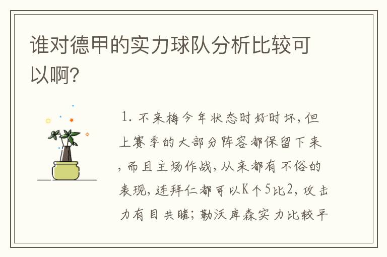 谁对德甲的实力球队分析比较可以啊?