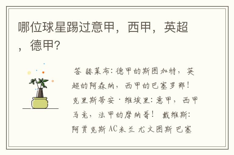 哪位球星踢过意甲,西甲,英超,德甲?