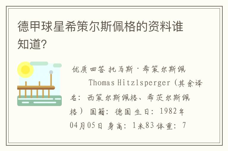 德甲球星希策尔斯佩格的资料谁知道?