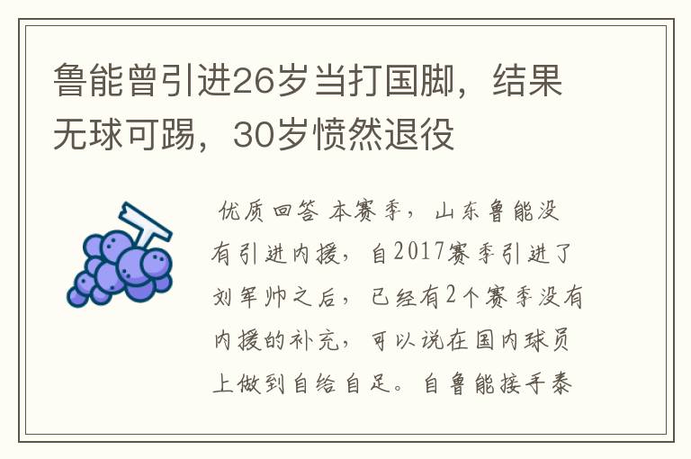 鲁能曾引进26岁当打国脚,结果无球可踢,30岁愤然退役