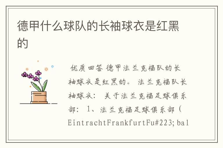 德甲什么球队的长袖球衣是红黑的