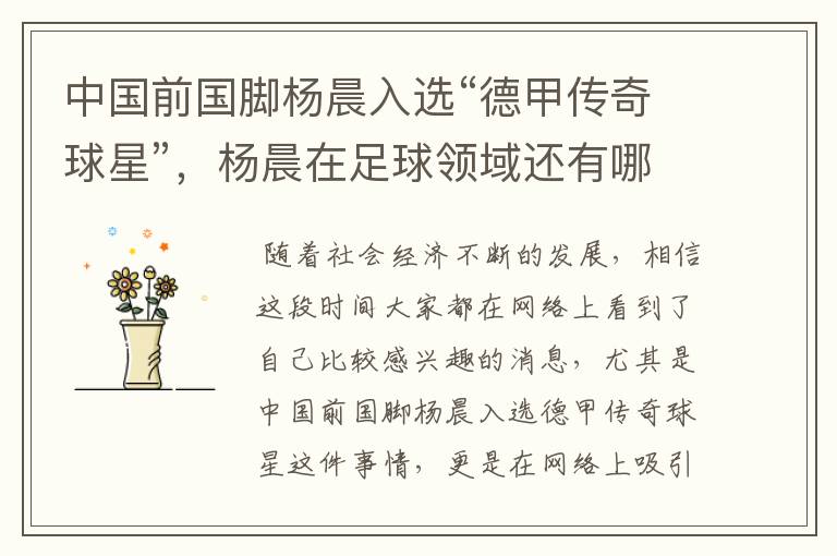 中国前国脚杨晨入选“德甲传奇球星”,杨晨在足球领域还有哪些成就?