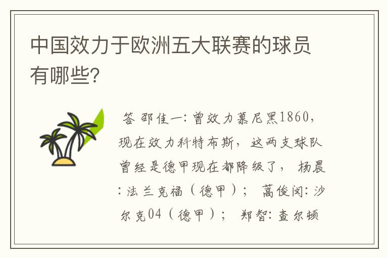 中国效力于欧洲五大联赛的球员有哪些?