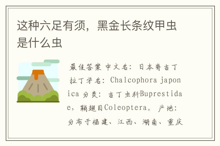 这种六足有须,黑金长条纹甲虫是什么虫