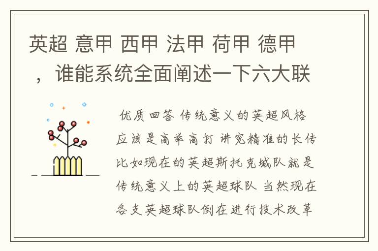 英超 意甲 西甲 法甲 荷甲 德甲 ,谁能系统全面阐述一下六大联赛风格的优缺点 ,