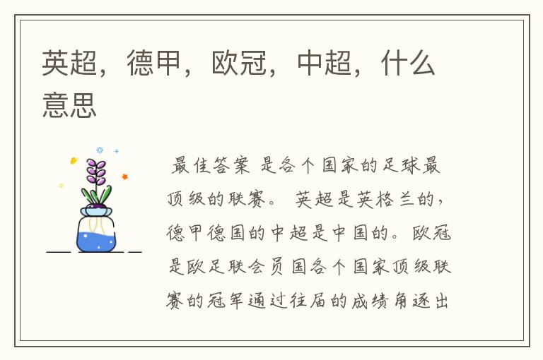英超,德甲,欧冠,中超,什么意思