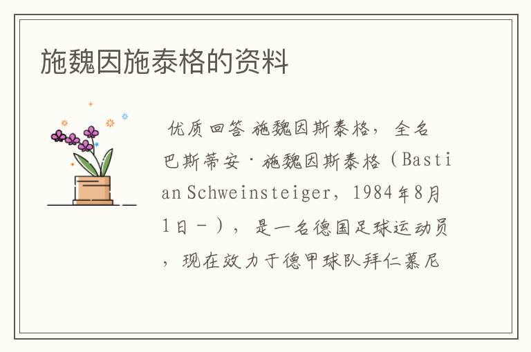 施魏因施泰格的资料