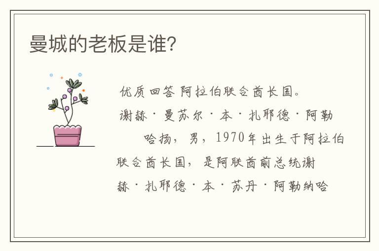 曼城的老板是谁?