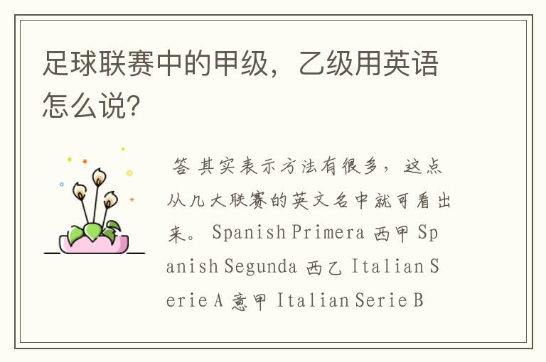足球联赛中的甲级,乙级用英语怎么说?