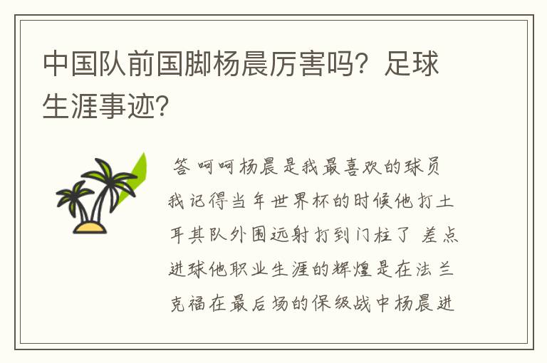 中国队前国脚杨晨厉害吗?足球生涯事迹?