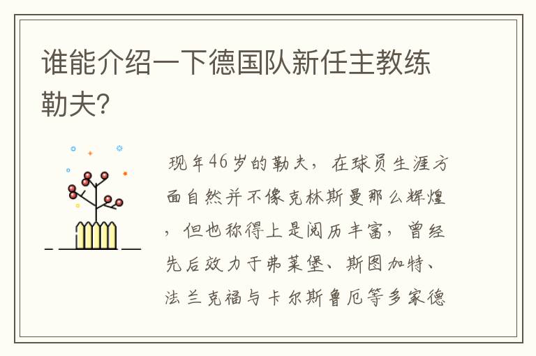 谁能介绍一下德国队新任主教练勒夫?