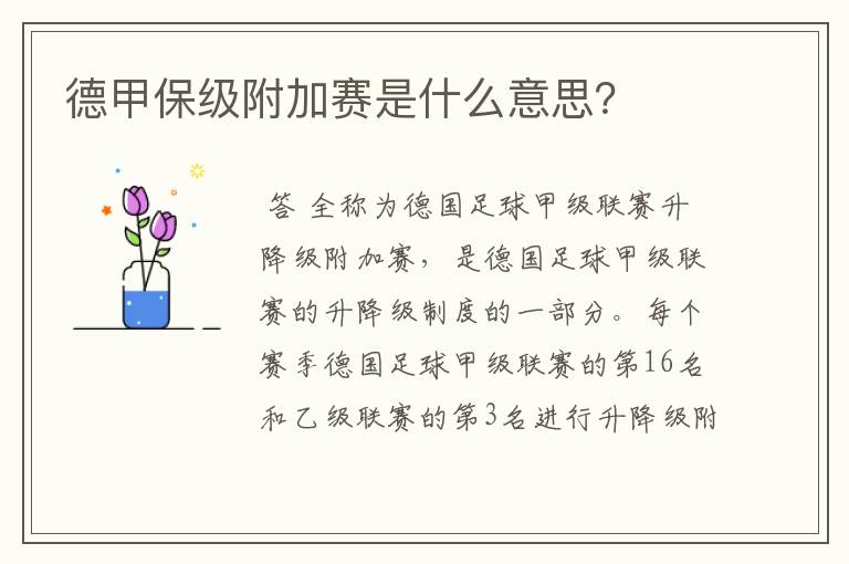 德甲保级附加赛是什么意思?