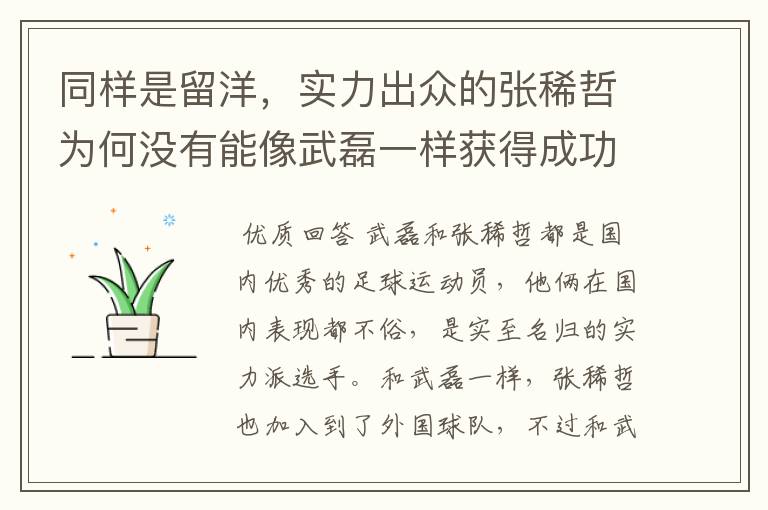 同样是留洋,实力出众的张稀哲为何没有能像武磊一样获得成功?
