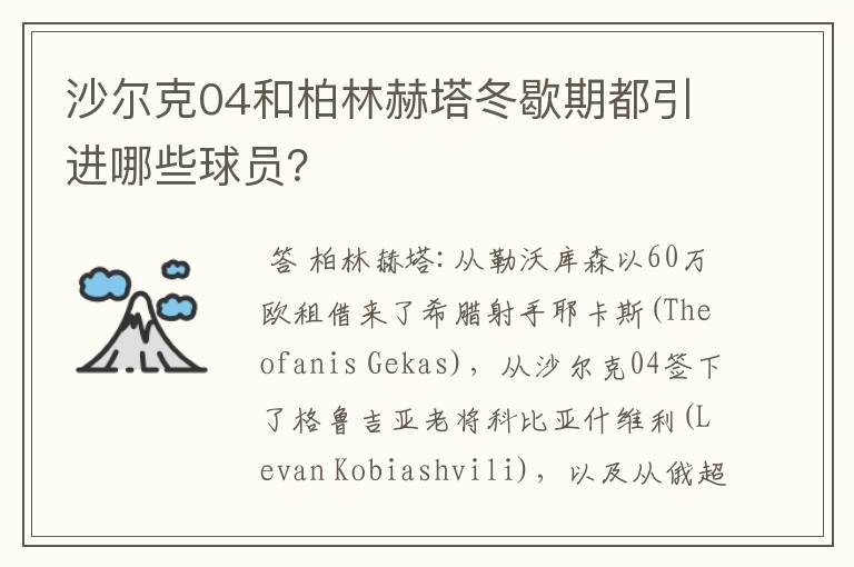 沙尔克04和柏林赫塔冬歇期都引进哪些球员?