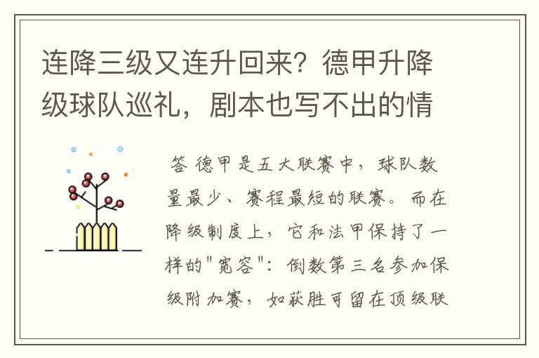连降三级又连升回来?德甲升降级球队巡礼,剧本也写不出的情节