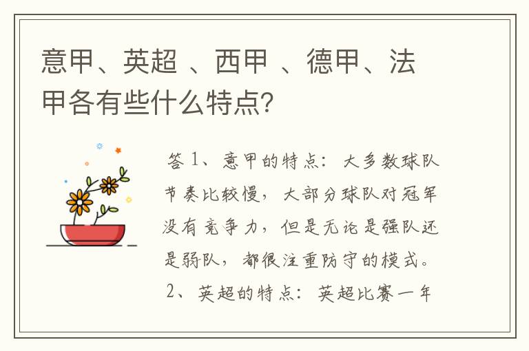 意甲、英超 、西甲 、德甲、法甲各有些什么特点?