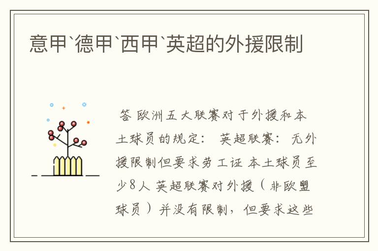 意甲`德甲`西甲`英超的外援限制