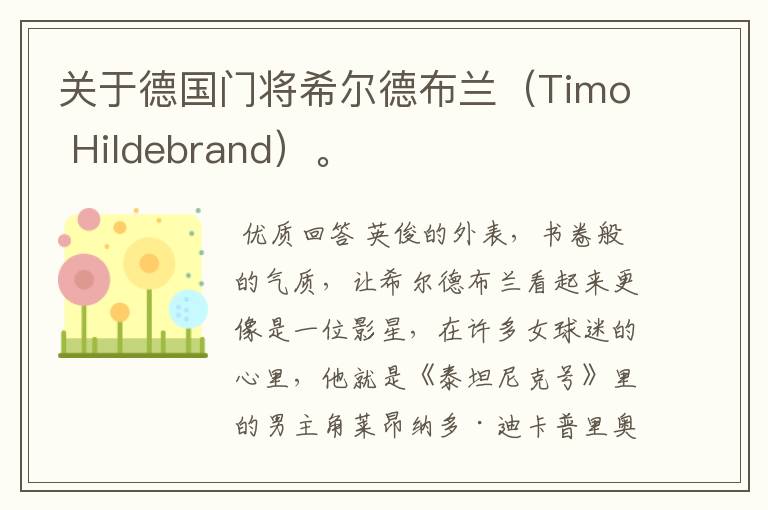关于德国门将希尔德布兰(Timo Hildebrand)。
