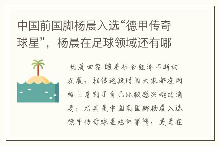 中国前国脚杨晨入选“德甲传奇球星”,杨晨在足球领域还有哪些成就?