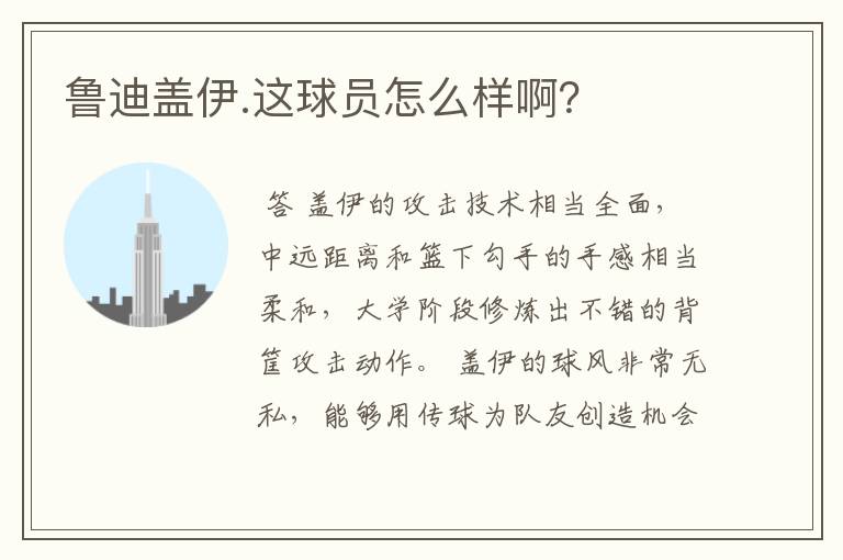 鲁迪盖伊.这球员怎么样啊?
