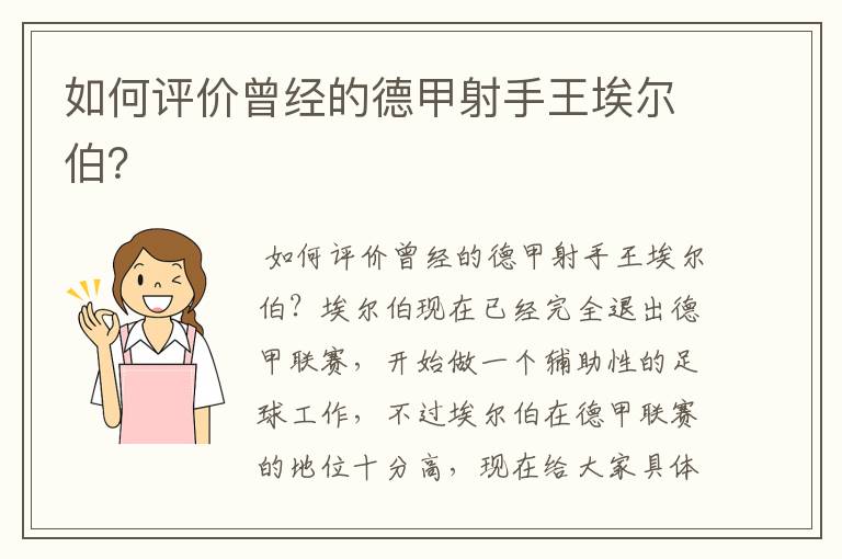 如何评价曾经的德甲射手王埃尔伯?