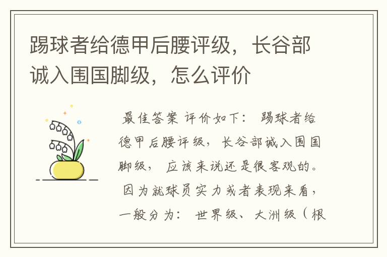 踢球者给德甲后腰评级,长谷部诚入围国脚级,怎么评价