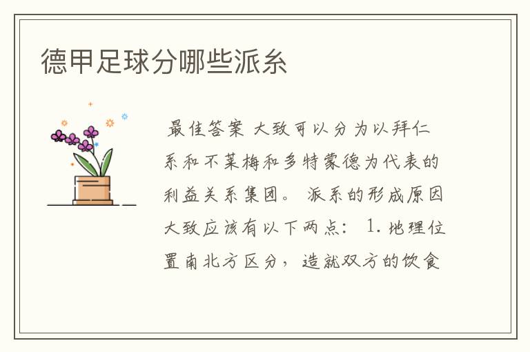 德甲足球分哪些派糸