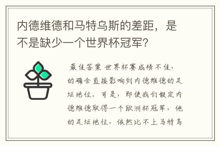 内德维德和马特乌斯的差距,是不是缺少一个世界杯冠军?