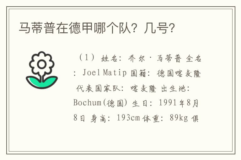 马蒂普在德甲哪个队?几号?
