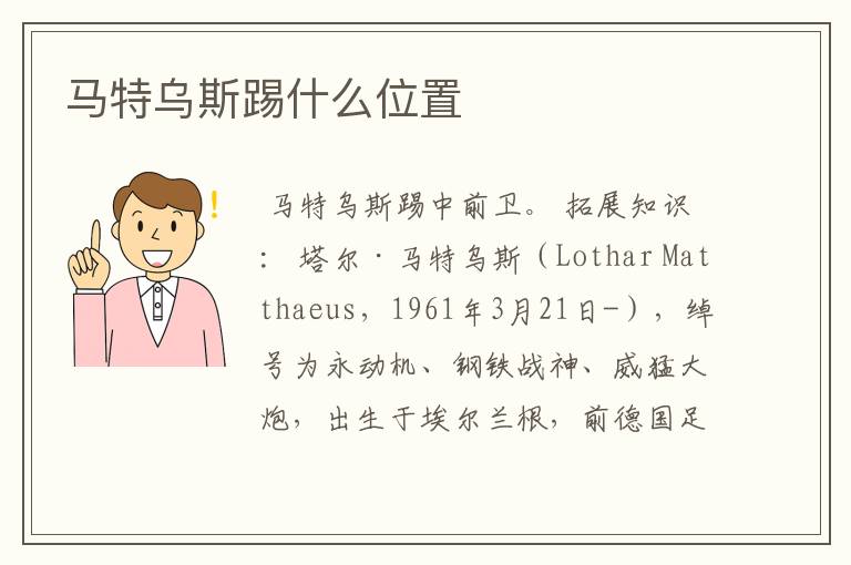 马特乌斯踢什么位置