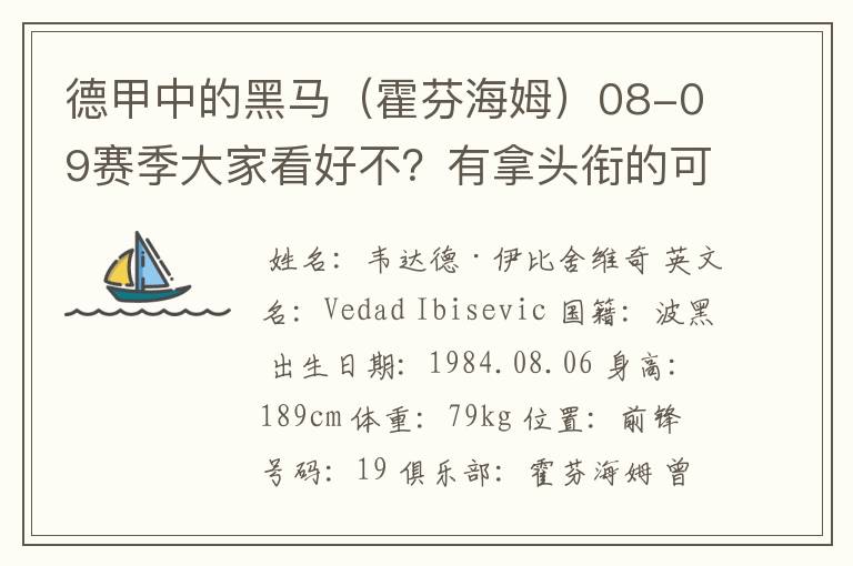 德甲中的黑马(霍芬海姆)08-09赛季大家看好不?有拿头衔的可能吗?