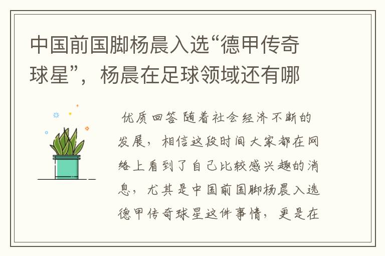 中国前国脚杨晨入选“德甲传奇球星”,杨晨在足球领域还有哪些成就?