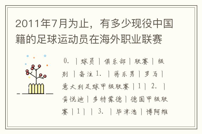 2011年7月为止,有多少现役中国籍的足球运动员在海外职业联赛含低级别联赛俱乐部效力
