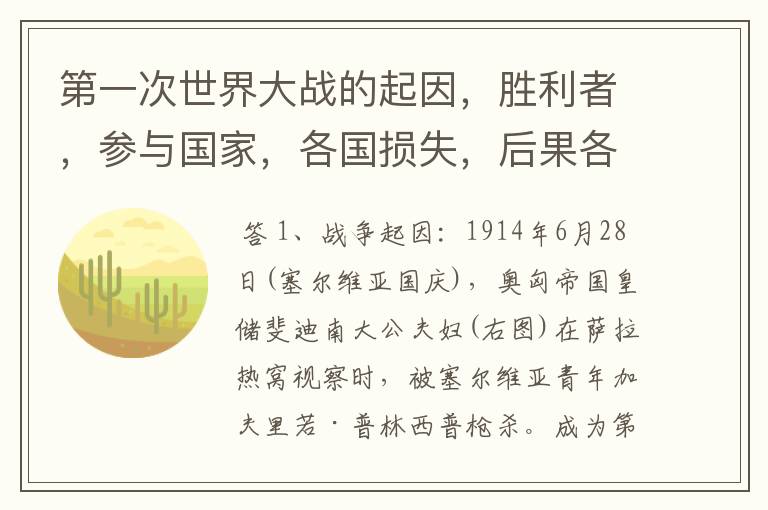第一次世界大战的起因,胜利者,参与国家,各国损失,后果各是怎样的?