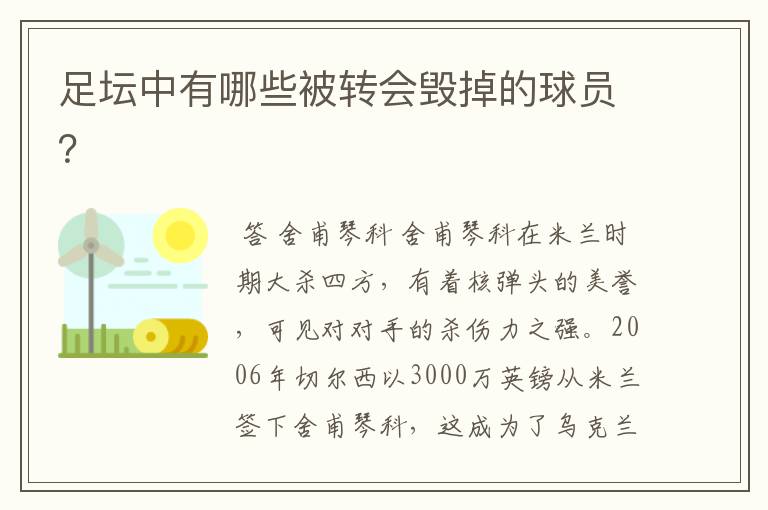足坛中有哪些被转会毁掉的球员?