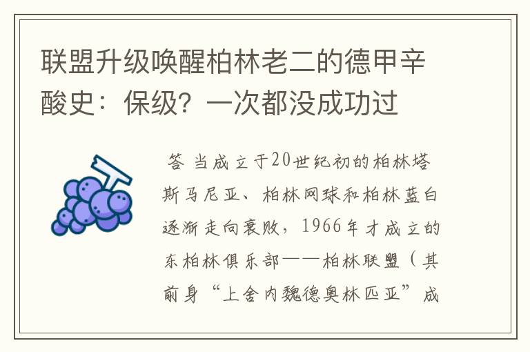 联盟升级唤醒柏林老二的德甲辛酸史:保级?一次都没成功过