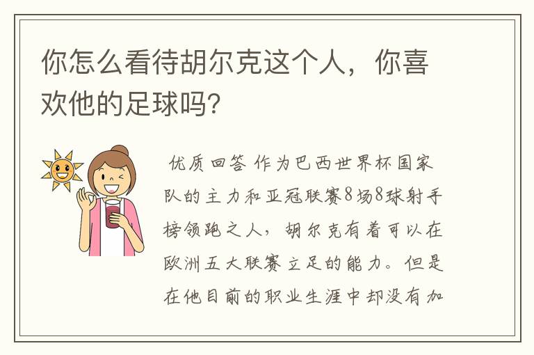 你怎么看待胡尔克这个人,你喜欢他的足球吗?