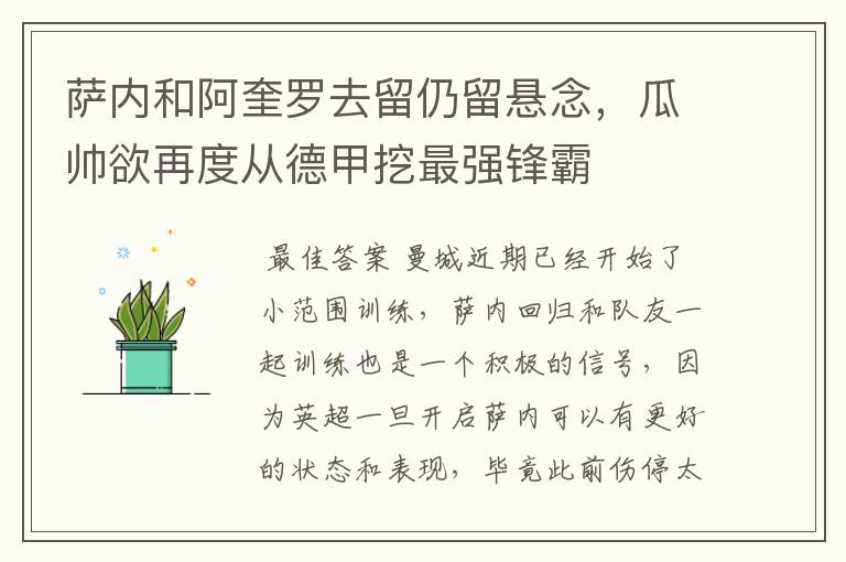 萨内和阿奎罗去留仍留悬念,瓜帅欲再度从德甲挖最强锋霸