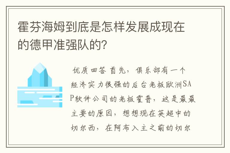霍芬海姆到底是怎样发展成现在的德甲准强队的?