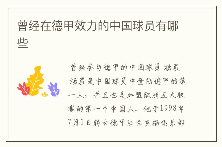 曾经在德甲效力的中国球员有哪些