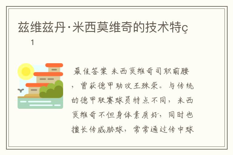兹维兹丹·米西莫维奇的技术特点